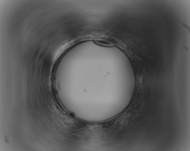 X0000100480340200807031857