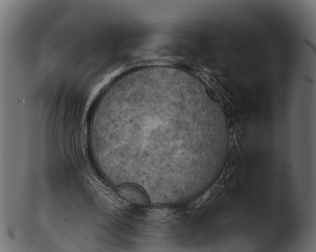 X0000100480342200807031857