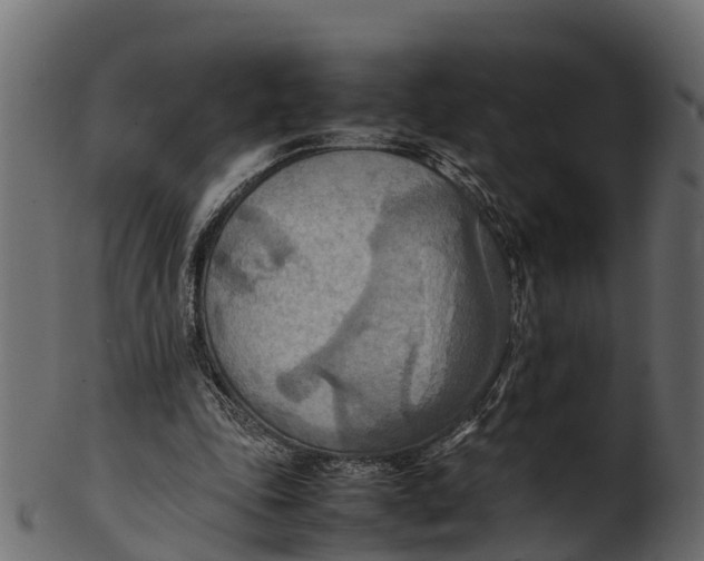 X0000100480343200807031857