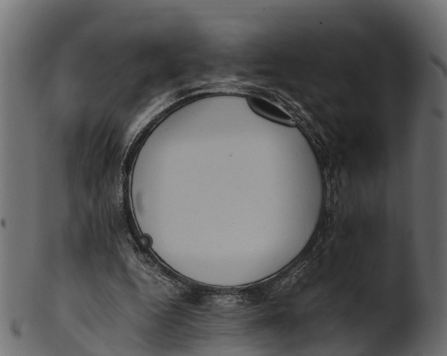 X0000100480344200807031857