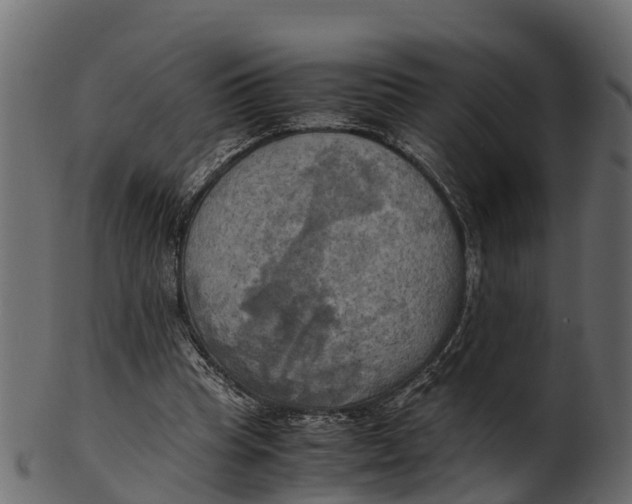 X0000100480345200807031857