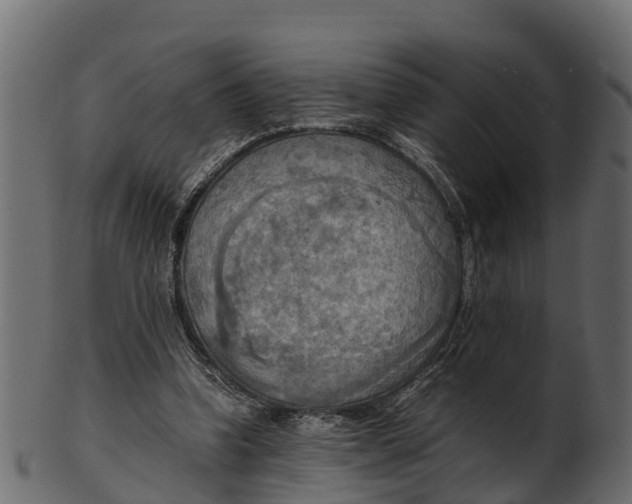 X0000100480346200807031857