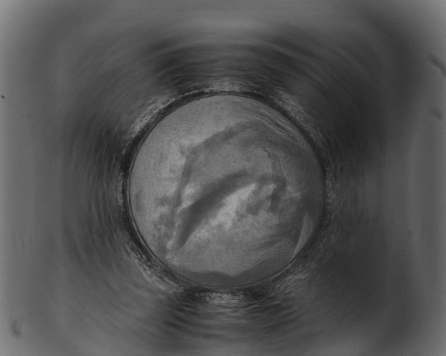 X0000100480347200807031857