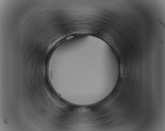 X0000100480348200807031857