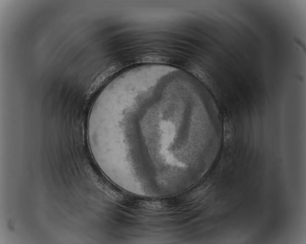 X0000100480349200807031857