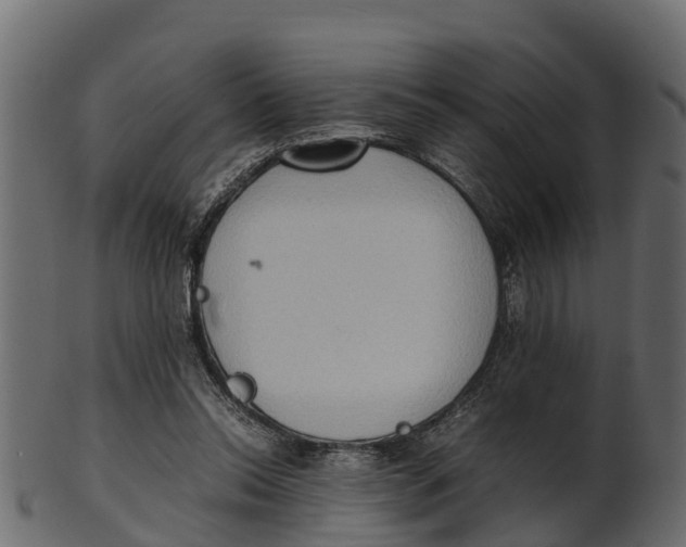 X0000100480350200807031857