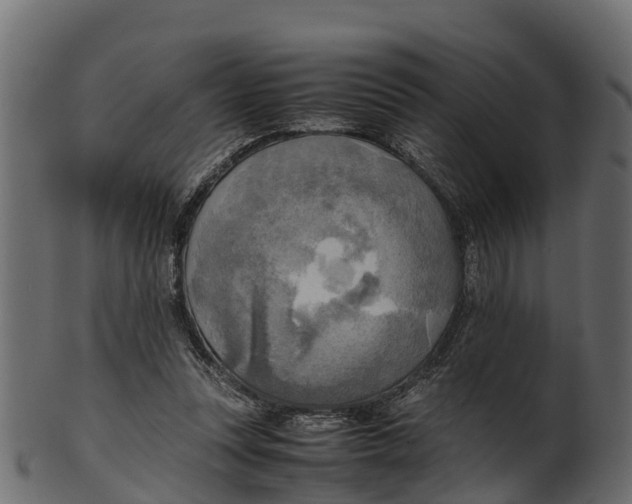 X0000100480351200807031857