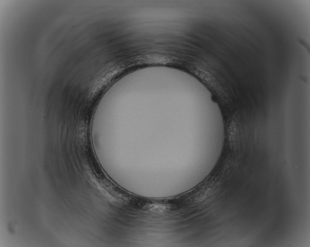 X0000100480352200807031857