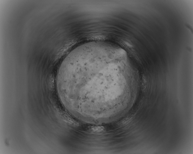 X0000100480355200807031857