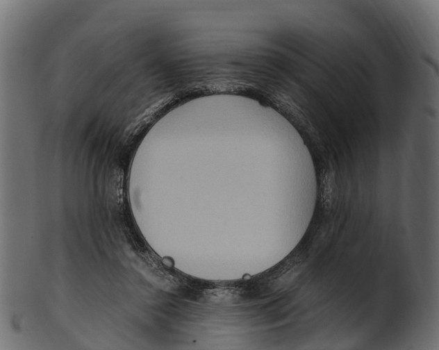 X0000100480356200807031857