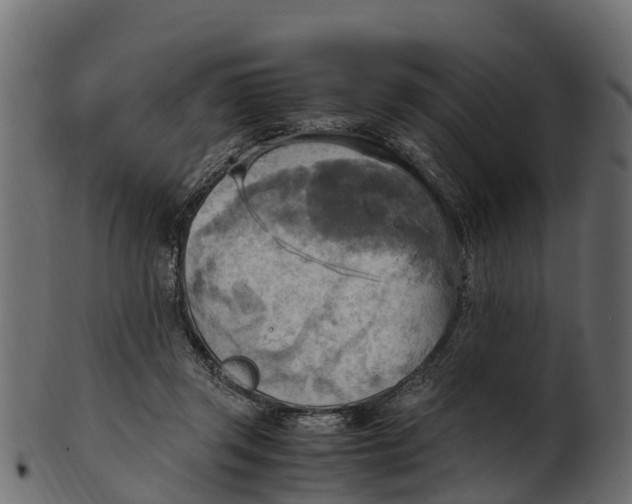 X0000100480357200807031857