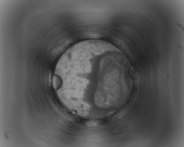 X0000100480358200807031857