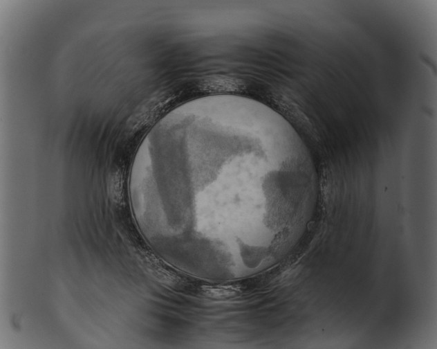 X0000100480359200807031857