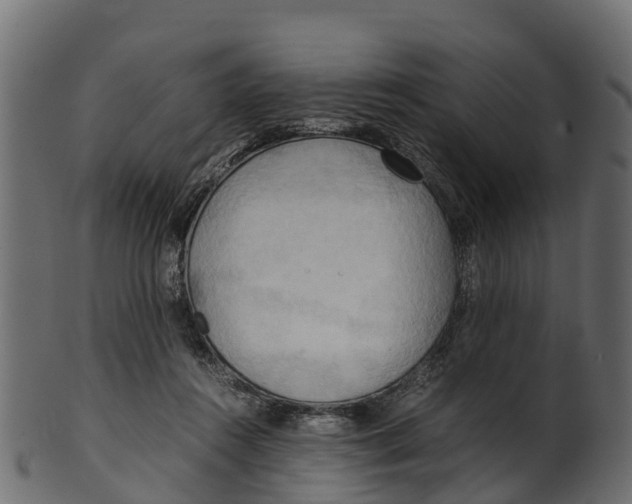 X0000100480360200807031857