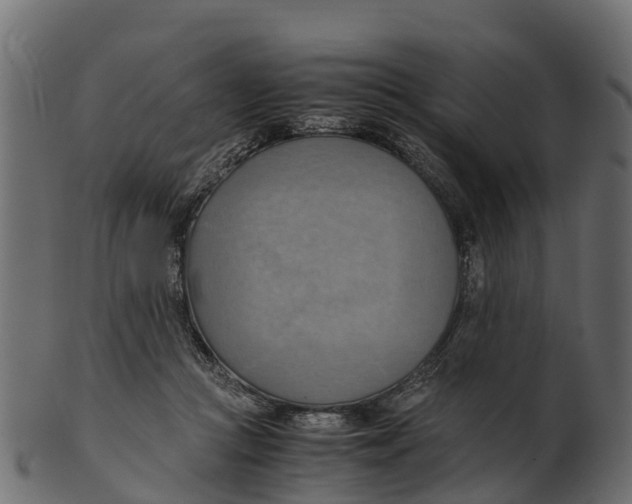 X0000100480361200807031857