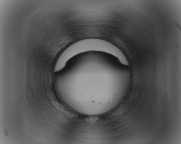 X0000100480362200807031857