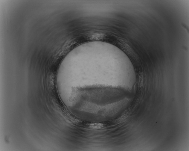 X0000100480363200807031857