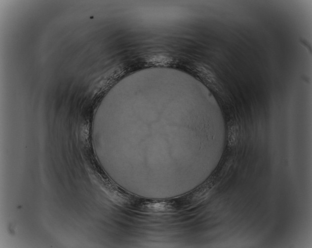 X0000100480365200807031857