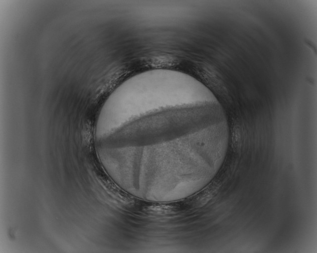 X0000100480367200807031857