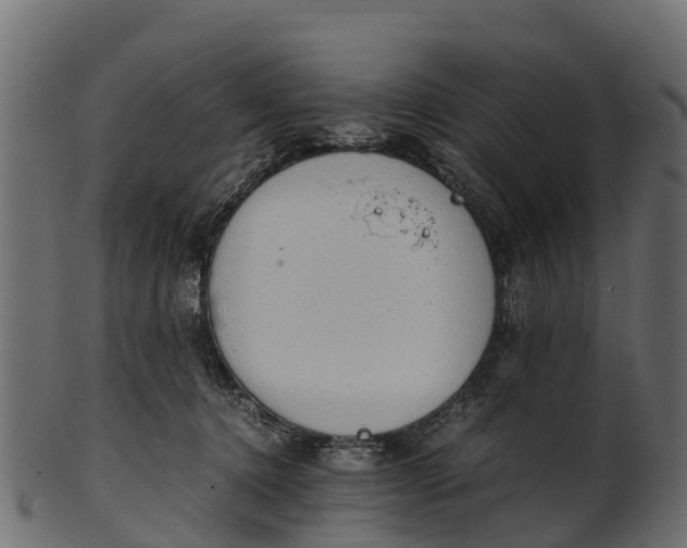 X0000100480368200807031857