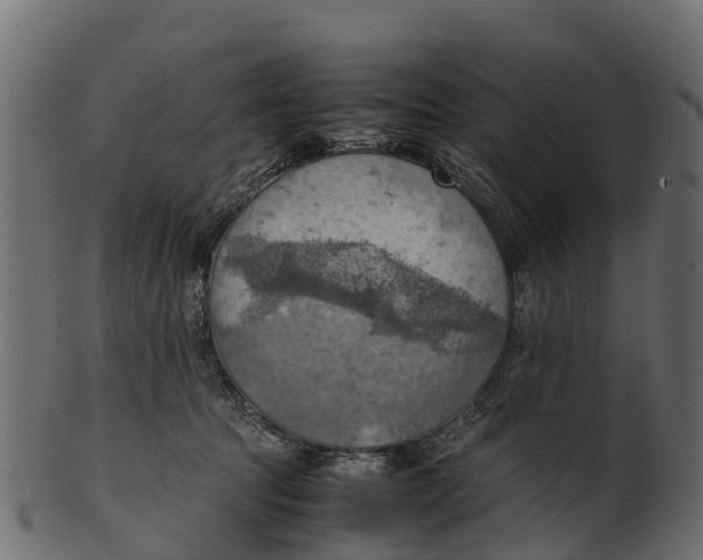 X0000100480369200807031857