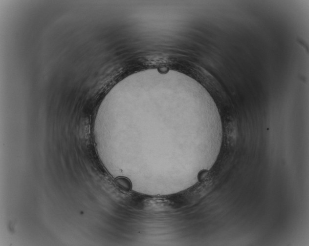 X0000100480372200807031857