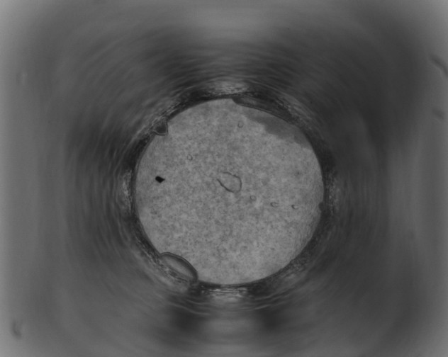 X0000100480373200807031857