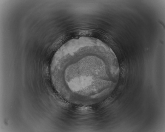 X0000100480375200807031857