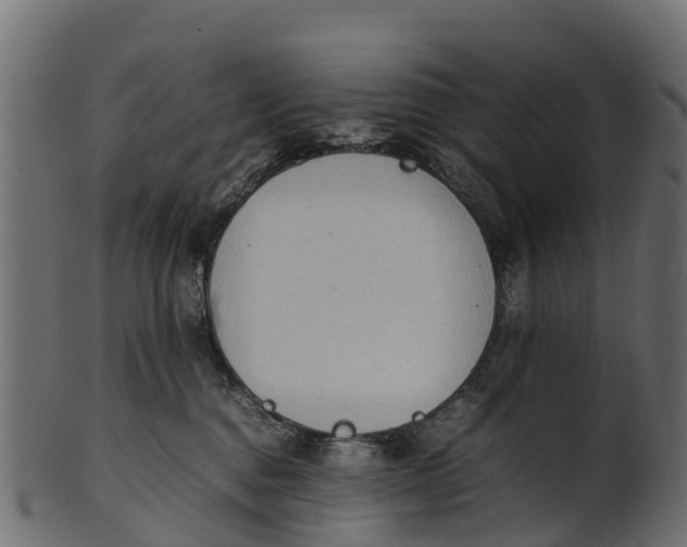 X0000100480376200807031857