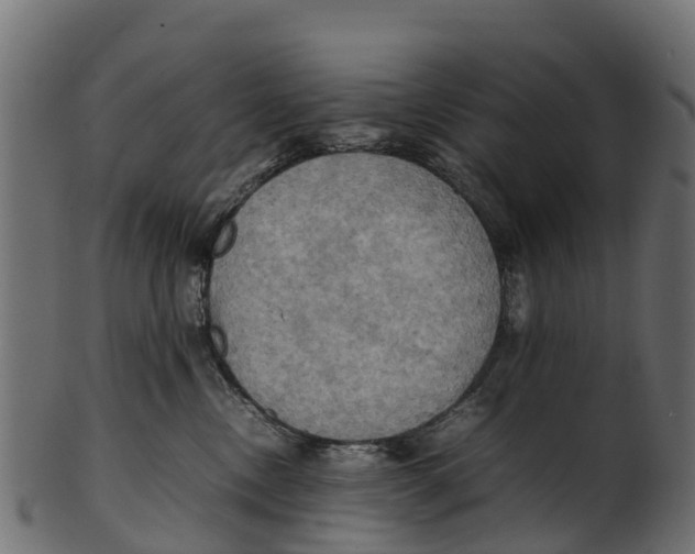 X0000100480378200807031857