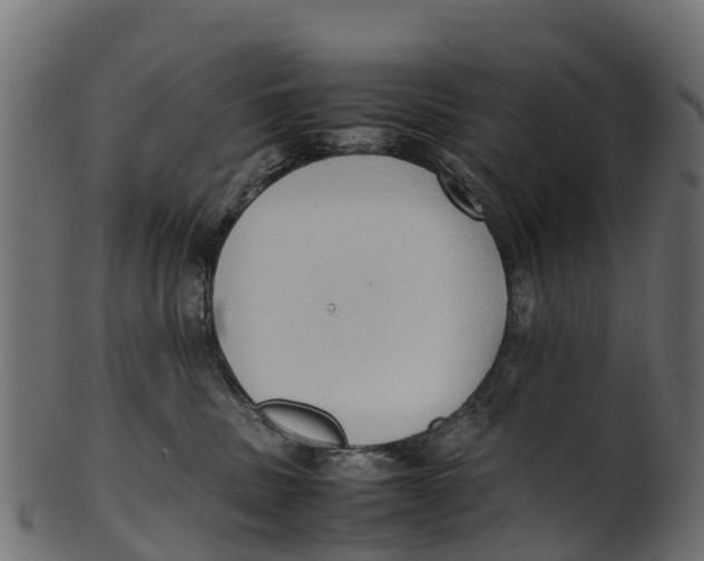 X0000100480379200807031857