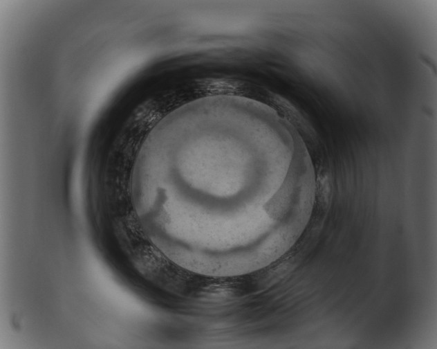 X0000100480381200807031858