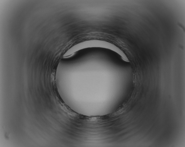 X0000100480382200807031858