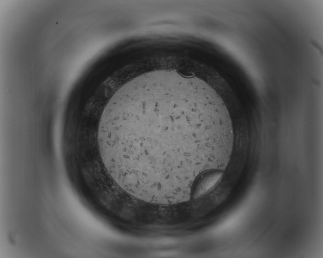 X0000100480383200807031858