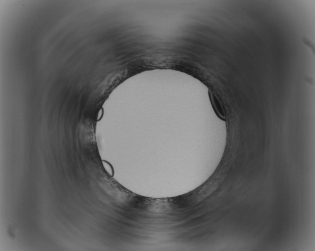 X0000100480384200807031858