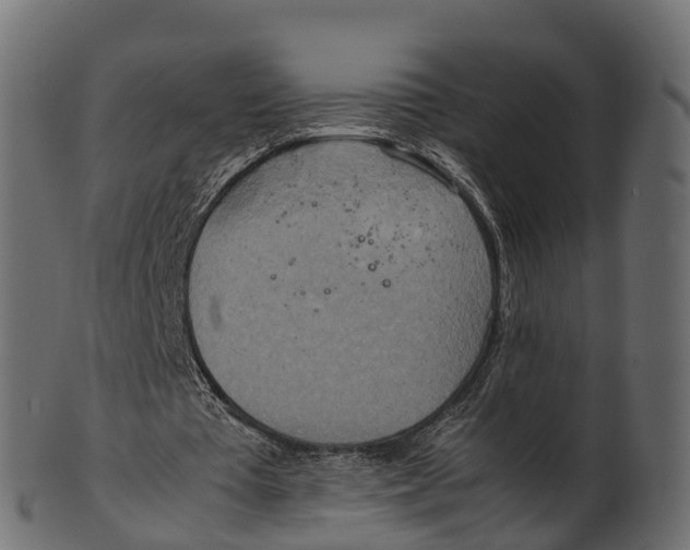 X0000100480385200807031857