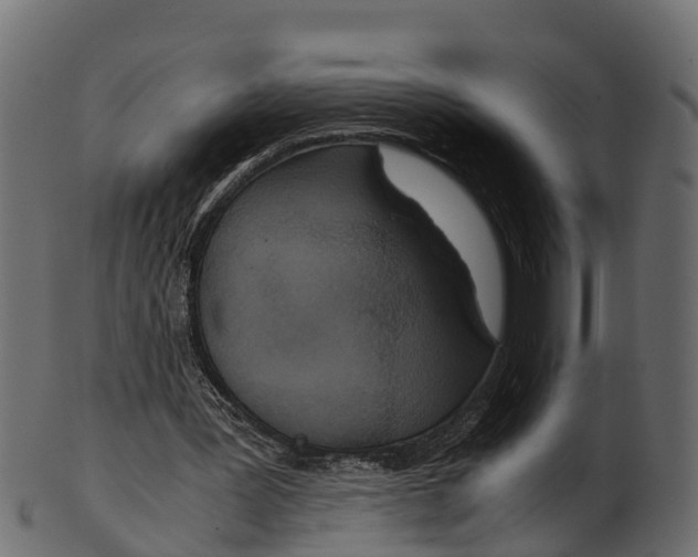 X0000100480387200807031857