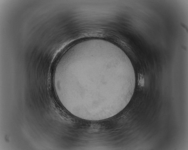 X0000100480388200807031857