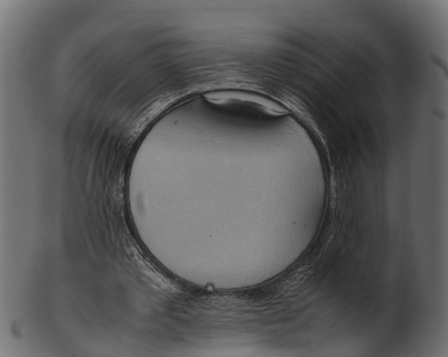 X0000100480389200807031857