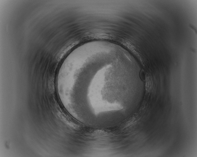 X0000100480390200807031857