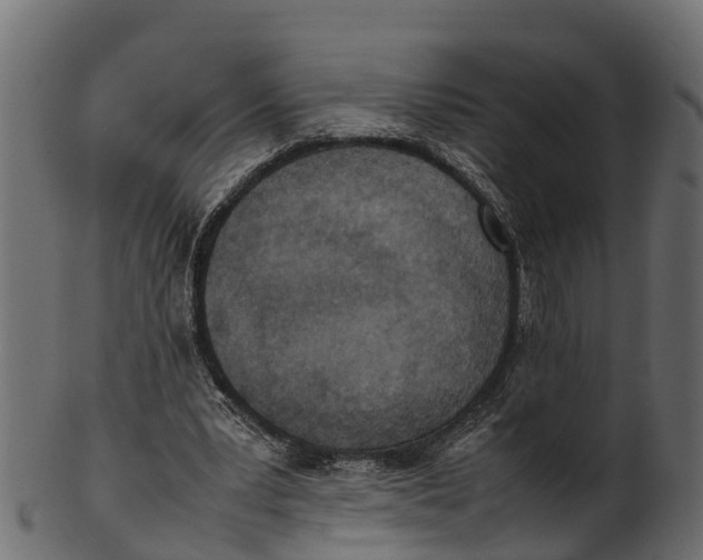 X0000100480391200807031857