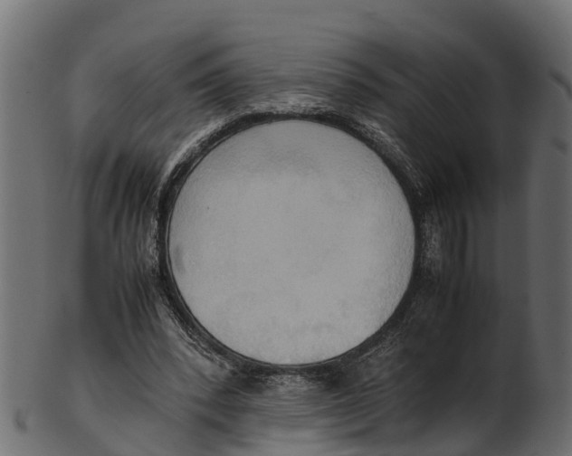 X0000100480392200807031857