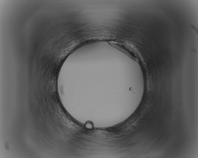 X0000100480393200807031857