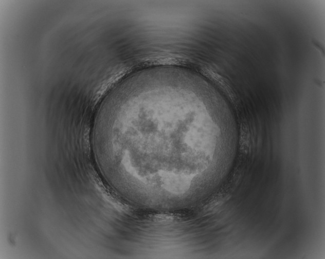 X0000100480394200807031857