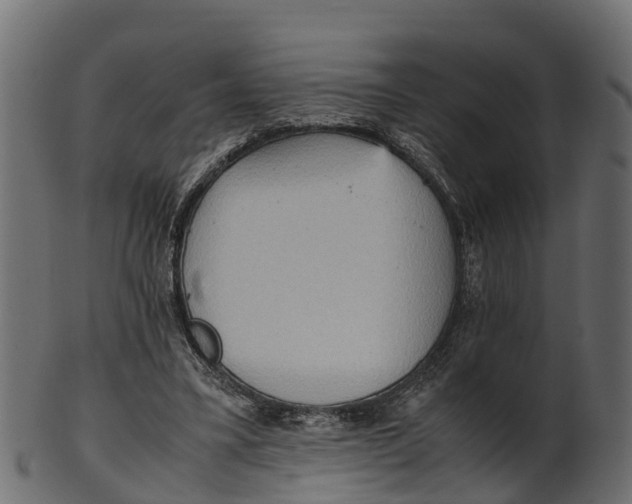 X0000100480395200807031857