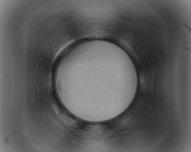 X0000100480396200807031857