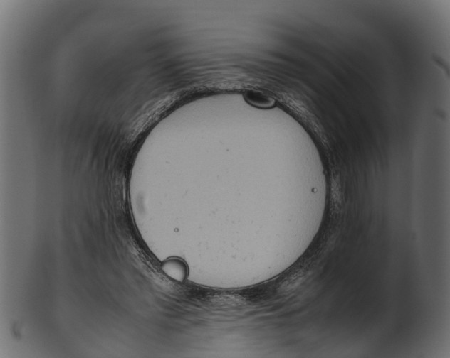 X0000100480397200807031857