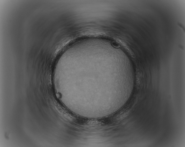 X0000100480399200807031857