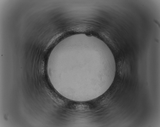 X0000100480400200807031857