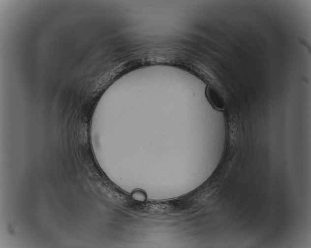 X0000100480401200807031857